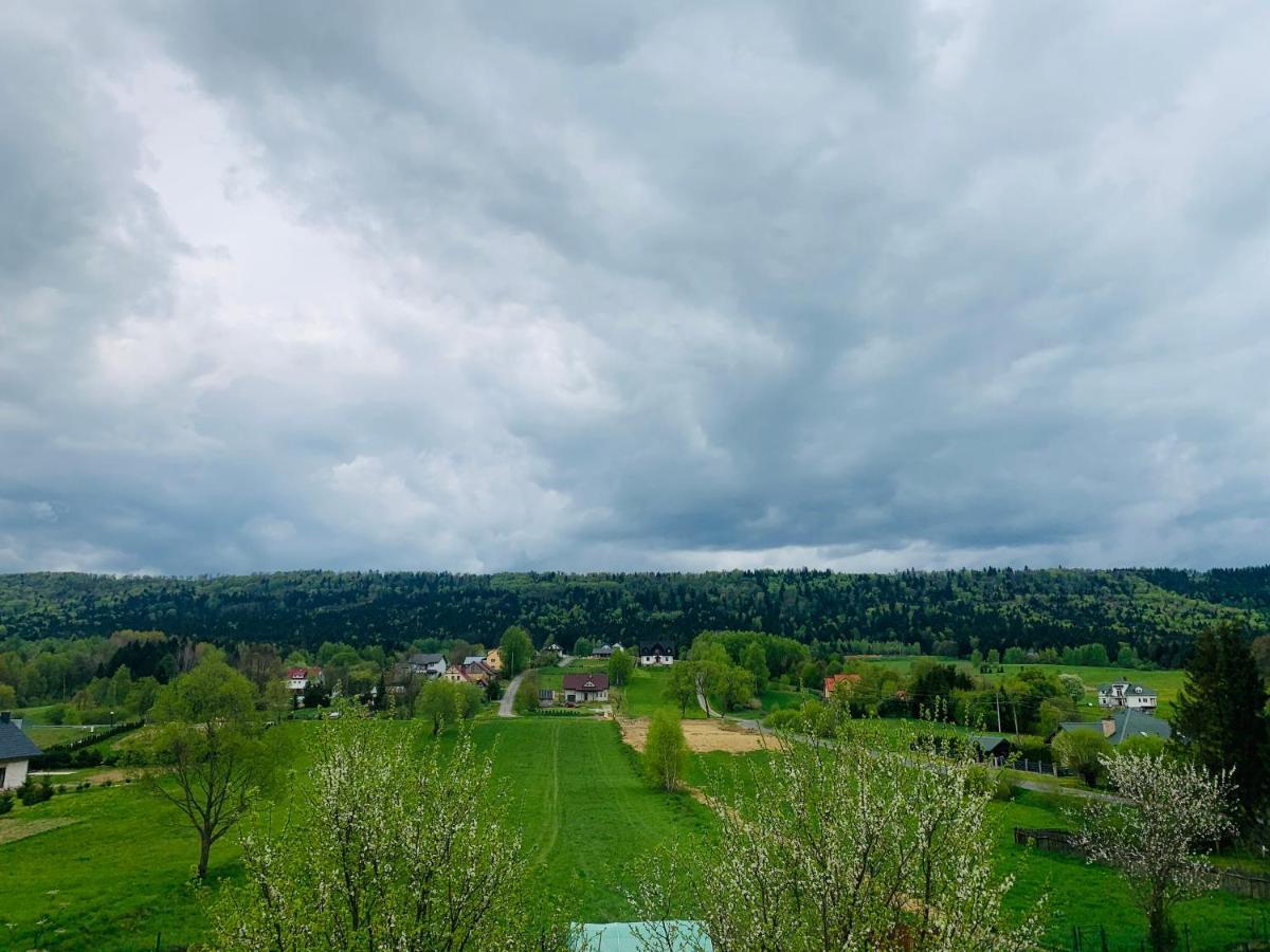Apartamenty Rownia 2 Ustrzyki Dolne Dış mekan fotoğraf