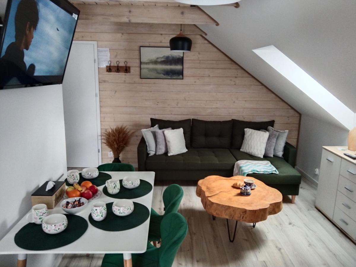 Apartamenty Rownia 2 Ustrzyki Dolne Dış mekan fotoğraf